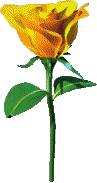 Image of rose.gif